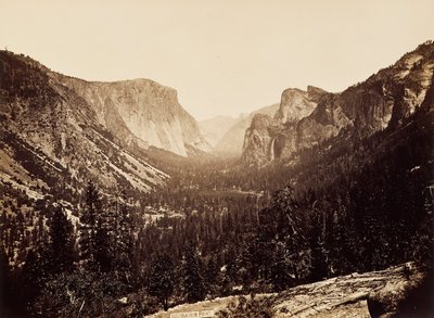 Blick vom Inspiration Point von Carleton E. Watkins